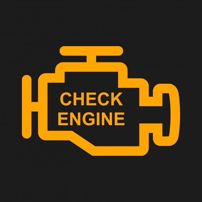 Variklio diagnostika. Check engine